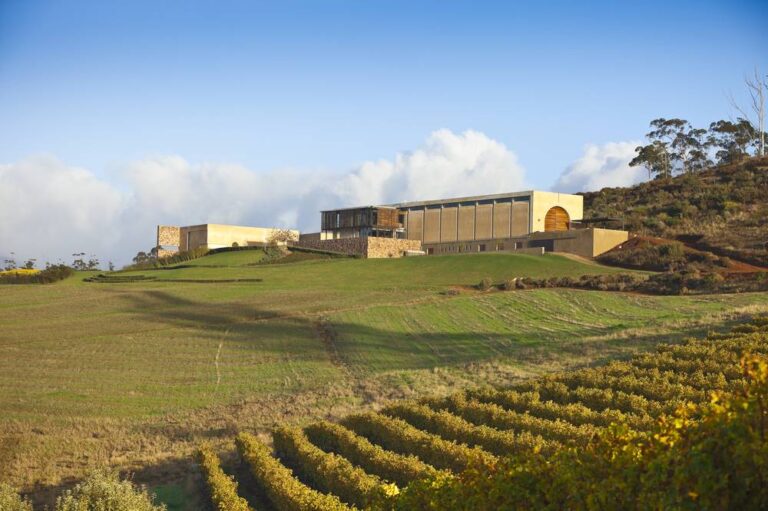 01 almenkerk wine estate 768x511