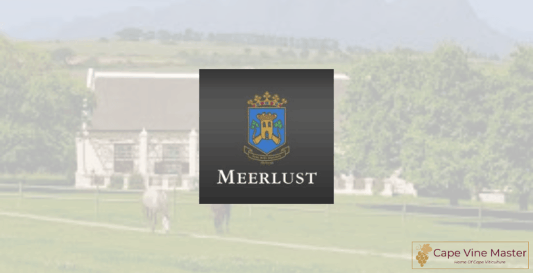Meerlust Wine Estate: A Stellenbosch Legacy of Elegance and Innovation