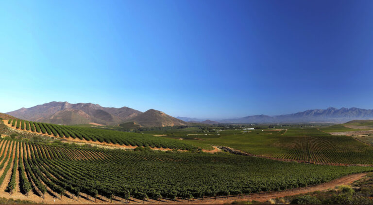 ashton winery vineyard wine farming robertson 768x423