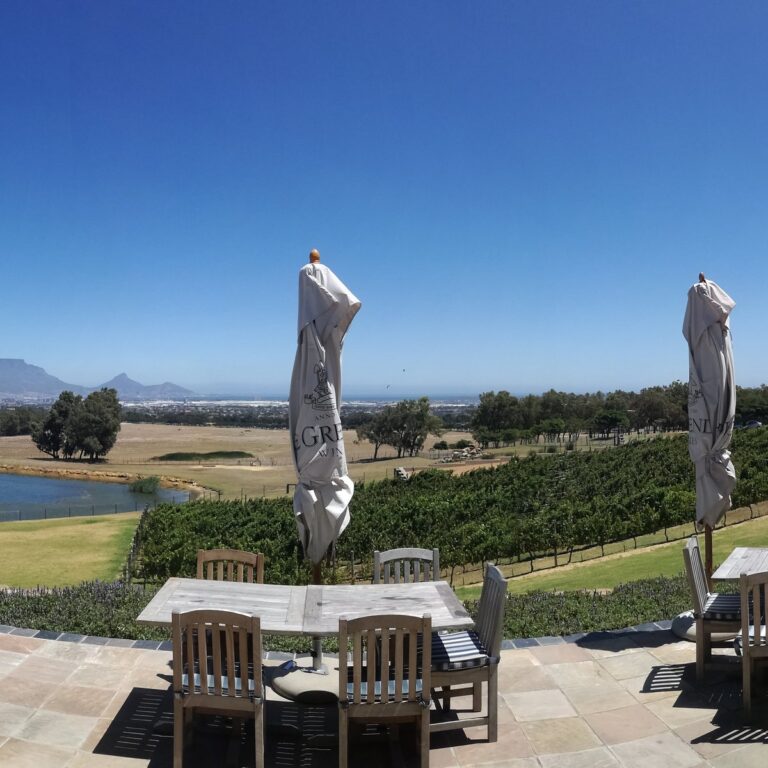 view from wine tasting 768x768