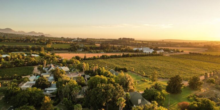 Ken Forrester Wines 768x384