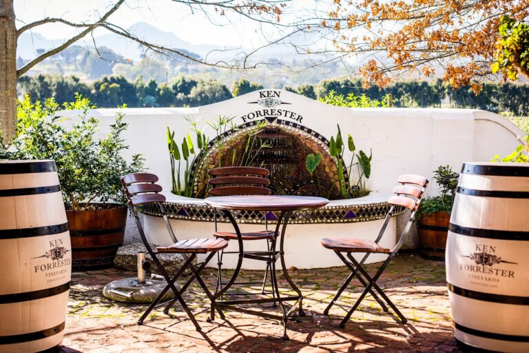 ken forrester wines wine tasting area 768x512